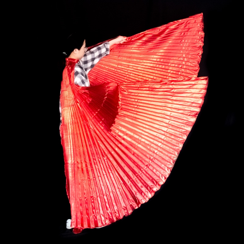 Belly Dance Wings Isis Wings A - Women Accessories In Egypt 评论和价格